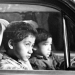 Screen shot 2012-02-28 at 10.36.43 AM Taika Waititi's Two Cars One Night