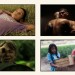 PI Showcase thumbnails