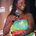 2013 Los Angeles Film Festival - Diversity Speaks: "New American" Indpendent Cinema