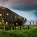 The Act of Killing