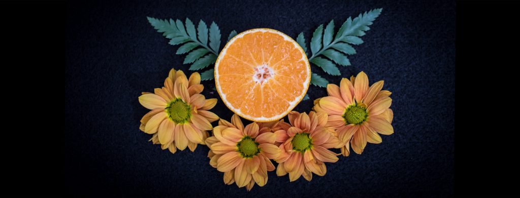 clementine season clementine season