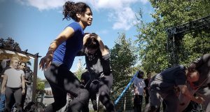 Concrete and Crashpads: Behind-the-Scenes Insight from Top Stunt