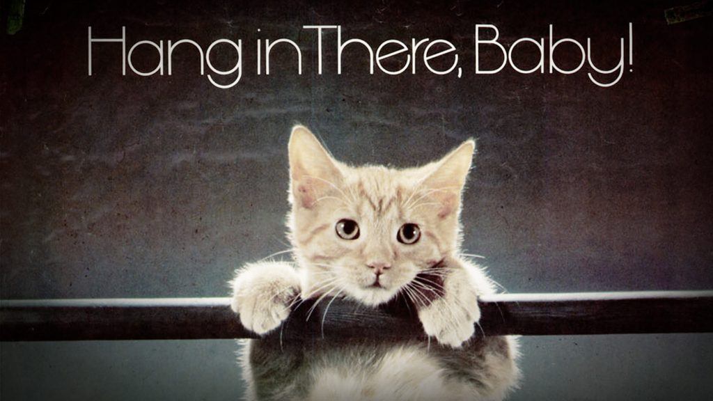 This is How We Do It: Rejection, Recovery and Getting Back to Work