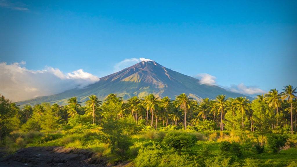 Fiscal Spotlight: International Projects are Getting Money Too - Film