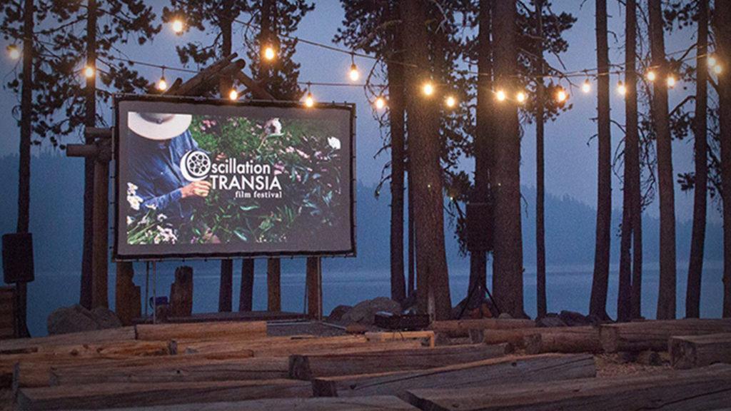 Fiscal Spotlight: Solar Powered Festival, YouTube Poetry and More