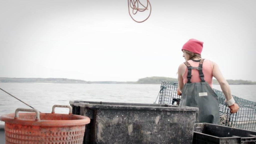 Fiscal Spotlight: Two Fiction Shorts and One Doc Feature About