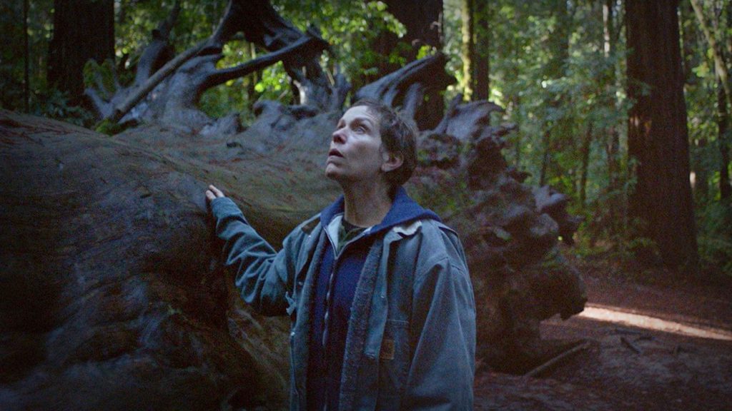 Detail Oriented: Creating the Careful Soundscapes of 'Nomadland' (Part One of Two) - Vimarsana News