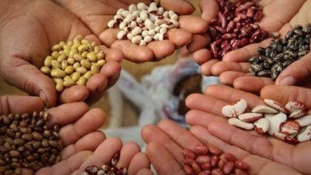 Fiscal Spotlight: Escaping to (and from) America with Three Immigrant